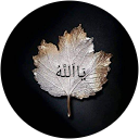 Nazir Safari profile picture